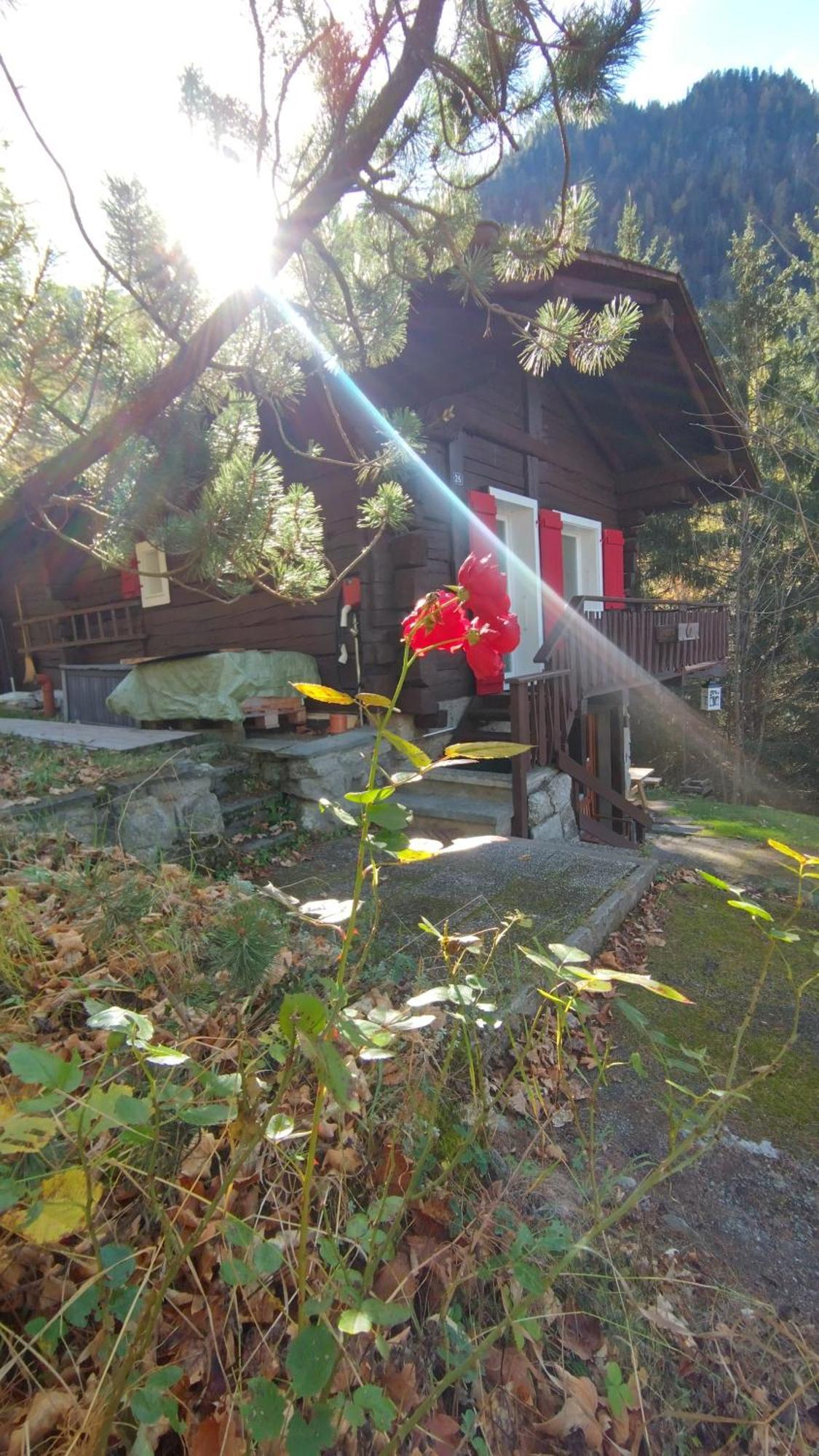 Petit Chalet Rustique Et Bucolique Bovernier エクステリア 写真